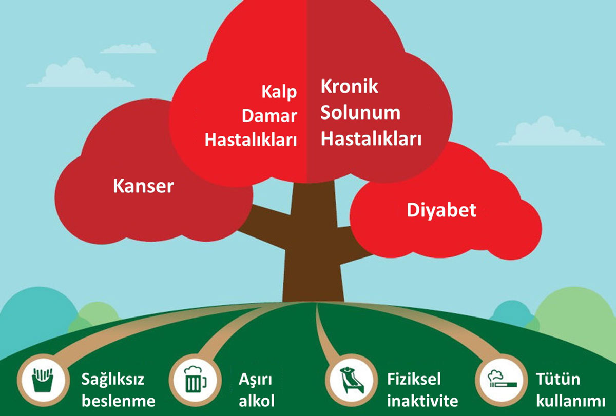 kronik hastaliklarin nedenleri ortaktir kalp damar hastaligi kanser koah diyabet 219132