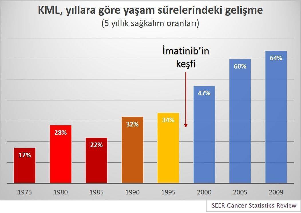 kronik myeloid losemi yillara gore yasam sureleri 5 yillik sagkalim oranlari 301696