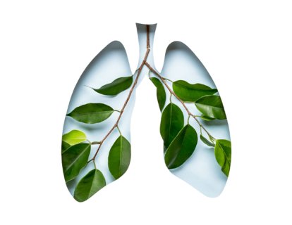 Küçük Hücreli Akciğer Kanserinde Serplulimab ile Şimdiye Kadar Alınan En İyi Sonuçlar