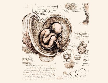 Leonardo’nun Anatomik Çizimleri 1510
