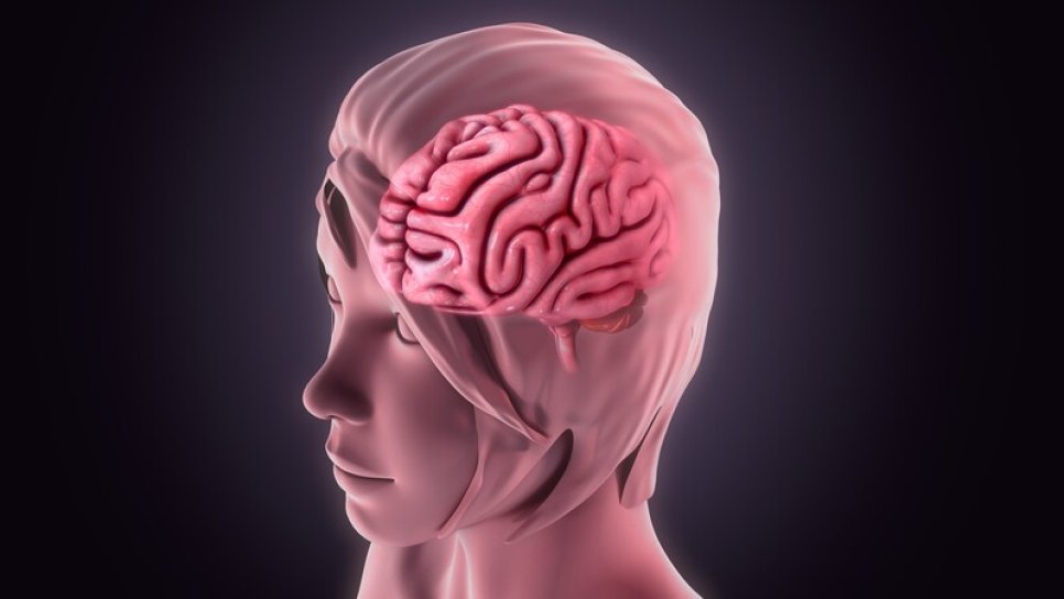 Was sind leptomeningeale Metastasen? Wie wirksam ist hier eine Immuntherapie?