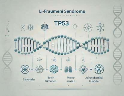 Li-Fraumeni ve Kalıtsal TP53-ilişkili Kanser Sendromları