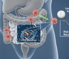 Low-Dose Aspirin Reduces the Risk of Recurrence in Colorectal Cancer with PI3K Mutations