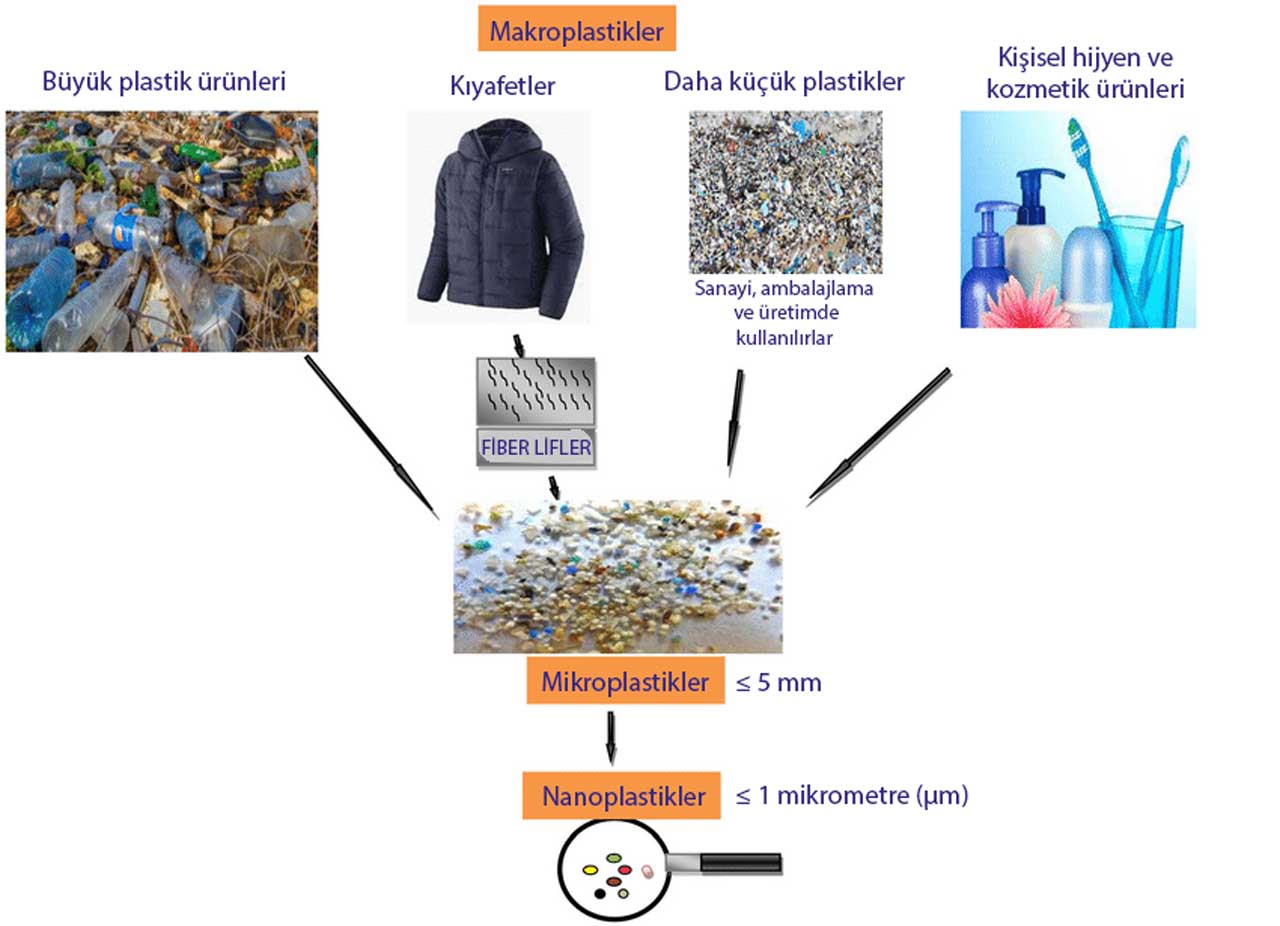 What are macroplastics, microplastics and nanoplastics?