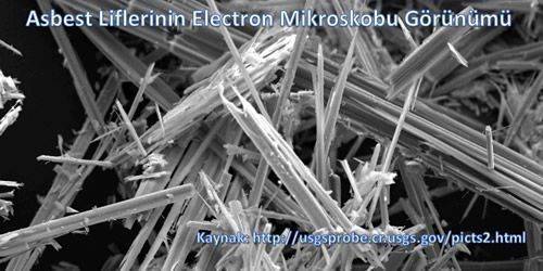 Malignant-mesothelioma-lung-lining-cancer-two-promising-new-treatments-for-this-asbestos-related-disease