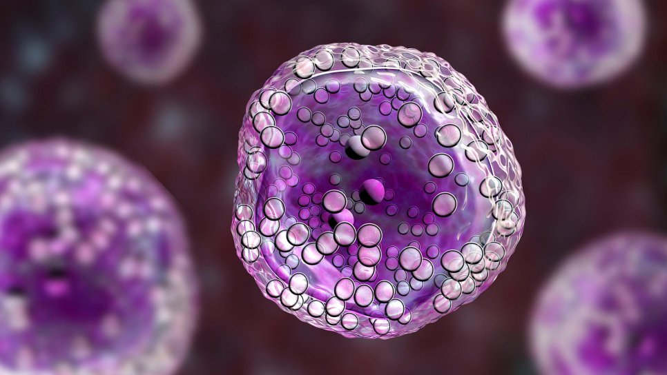 Erste zellbasierte Gentherapie gegen Mantelzelllymphom erhält FDA-Zulassung