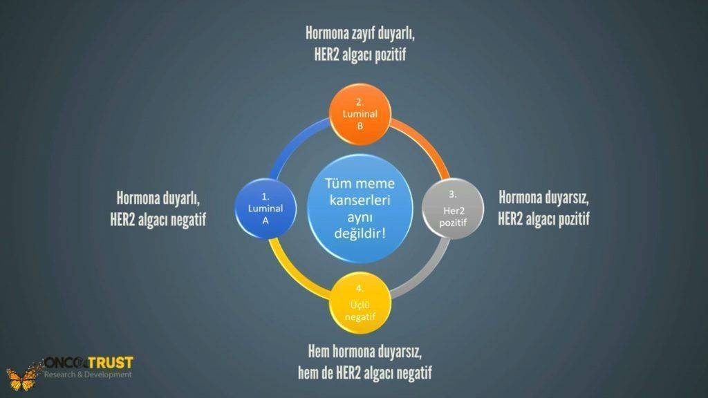 meme kanseri cesitleri luminal uclu negatif hormon pozitifligi 1024x576 342764