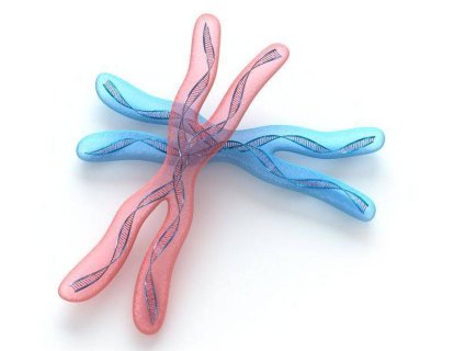 Meme Kanseri Riski için Çoklu Gen Testleri, BRCA Testlerinin Yerini mi Alıyor?