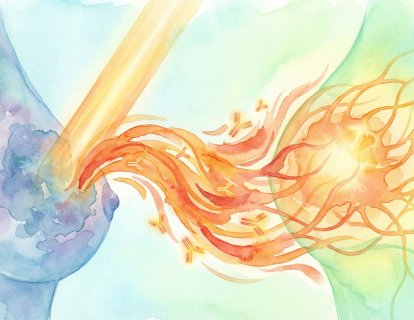 Meme Kanserinde Yeni Strateji: Öncü Radyoterapi Bağışıklık Sistemini Uyandırabilir mi?