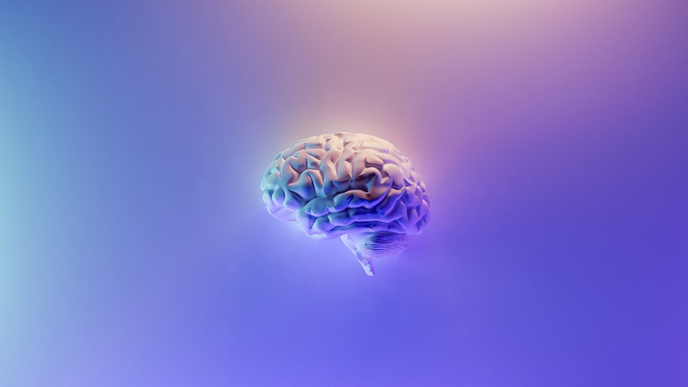What is meningioma? What are its symptoms and treatment?