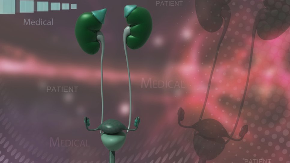 Immunotherapy shook up bladder cancer treatment