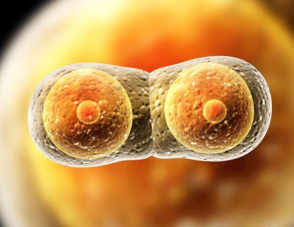 Tetikleyici Mutasyonların, Bir Hastanın Tüm Metastazlarında Aynı Olduğunun Keşfedilmesi Şaşırttı
