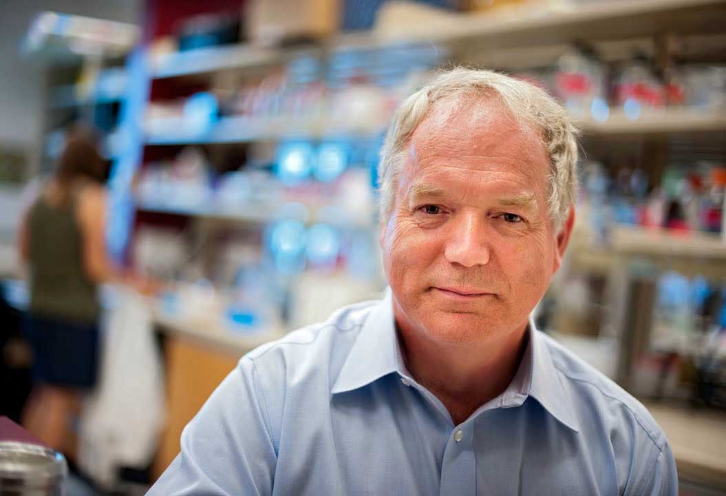 michael houghton nobel medicine 2020 scientist who discovered the hepatitis c virus genome