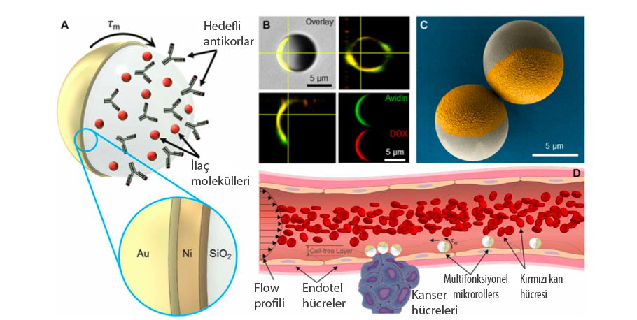 microroller mikroyuvarlanan medikal mikro robotlar metin sitti 241725