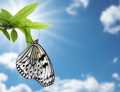 Mide kanseri tedavisinde immünoterapi artı akıllı ilaç – pembrolizumab ve lenvatinib – ile yüksek yanıt oranları