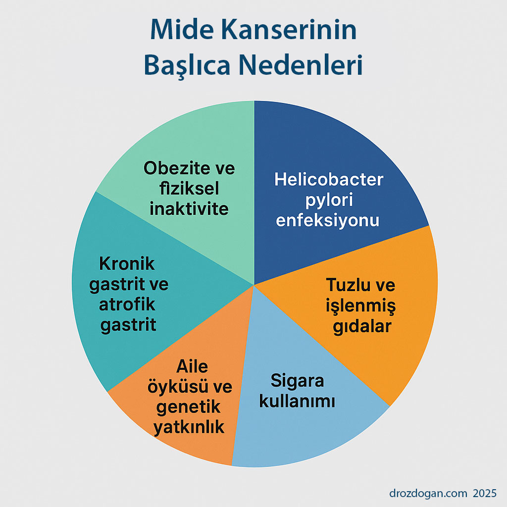 mide kanserinin baslica nedenleri nelerdir 634517