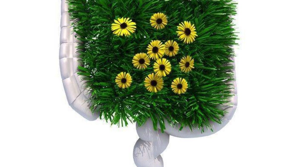 Mikrobiyatanin-vucudumuzdaki-bakteri-ve-mantar-gibi-mikroorganizmalar-azalmasi-beyaz-yag-dokusunu-esmerlestirerek-obeziteyi-azaltiyor-olabilir-mi