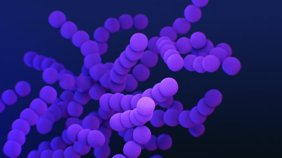 Mikrobiyota, yaş ve hastalığa göre nasıl değişir? Bunun önemi nedir?
