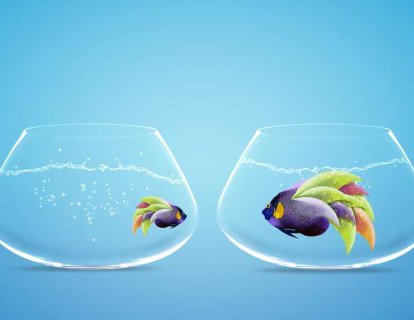 Zihin sağlığı için MIND diyet nedir?