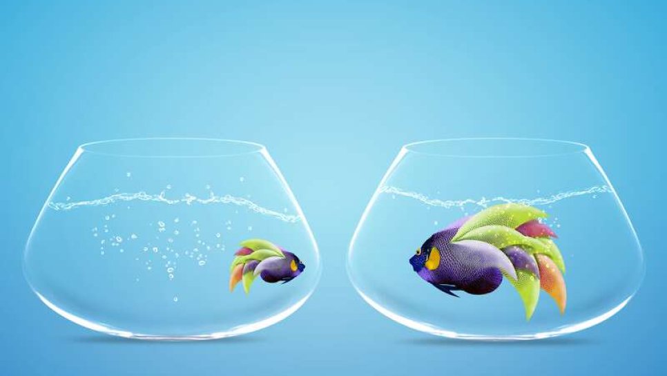 Zihin sağlığı için MIND diyet nedir?