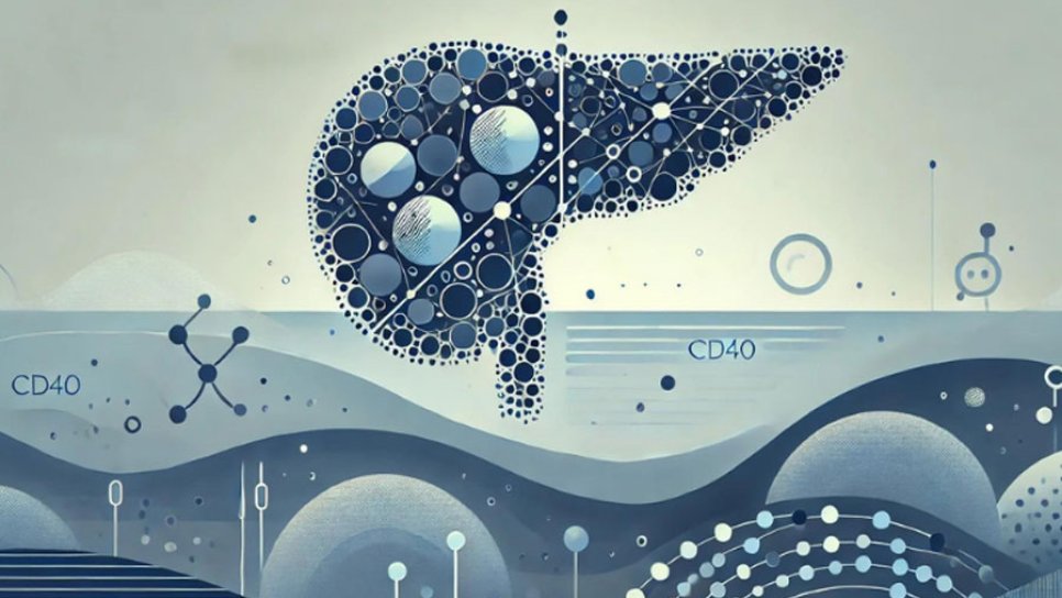Unprecedented Treatment Responses with Mitazalimab in Pancreatic Cancer