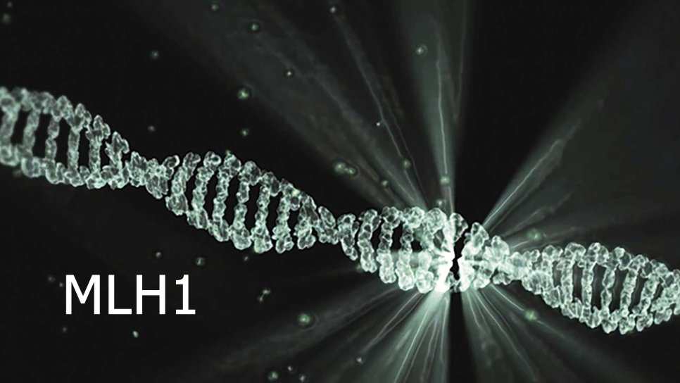 What Is an MLH1 Mutation? Which Cancer Risks Does It Increase?