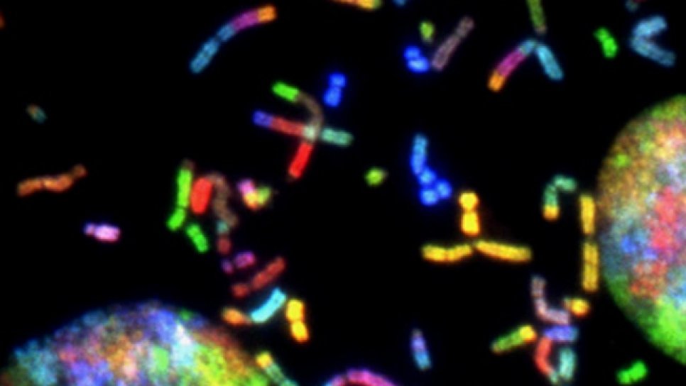 What Is an MSH2 Mutation? What You Need to Know