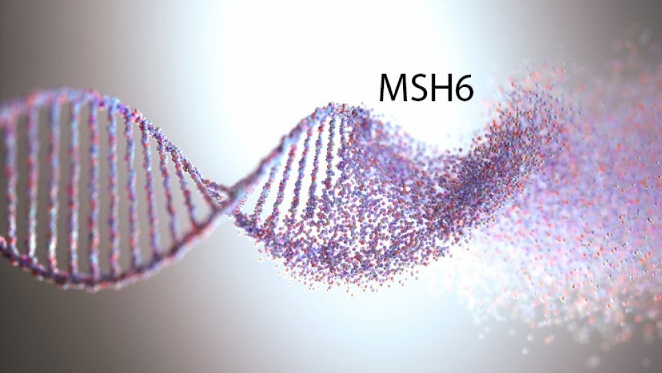 Was ist eine MSH6-Mutation? Für welche Krebsarten erhöht sie das Risiko?