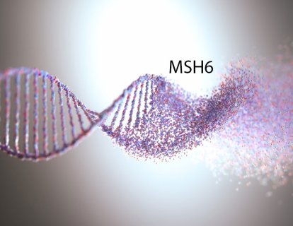 MSH6 mutasyonu nedir? Hangi kanserlerin riskini artırır?