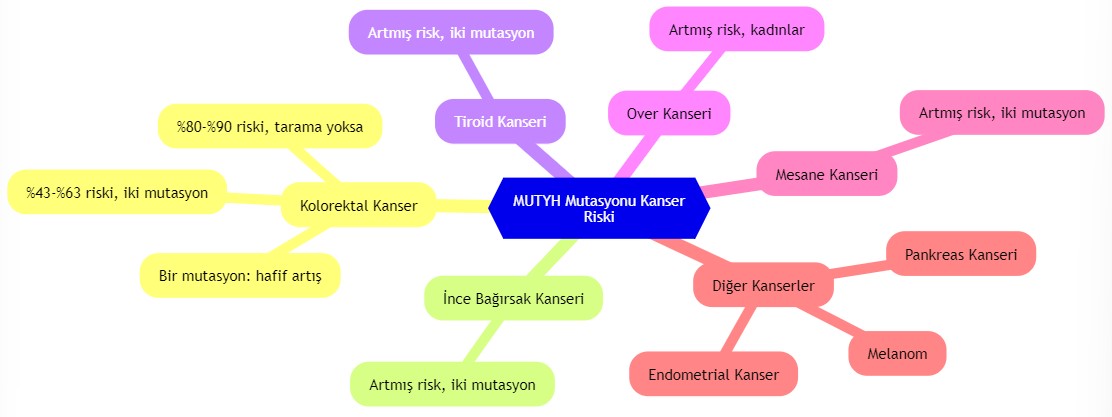 MUTYH geni mutasiyası hansı xərçənglərin riskini nə qədər artırır
