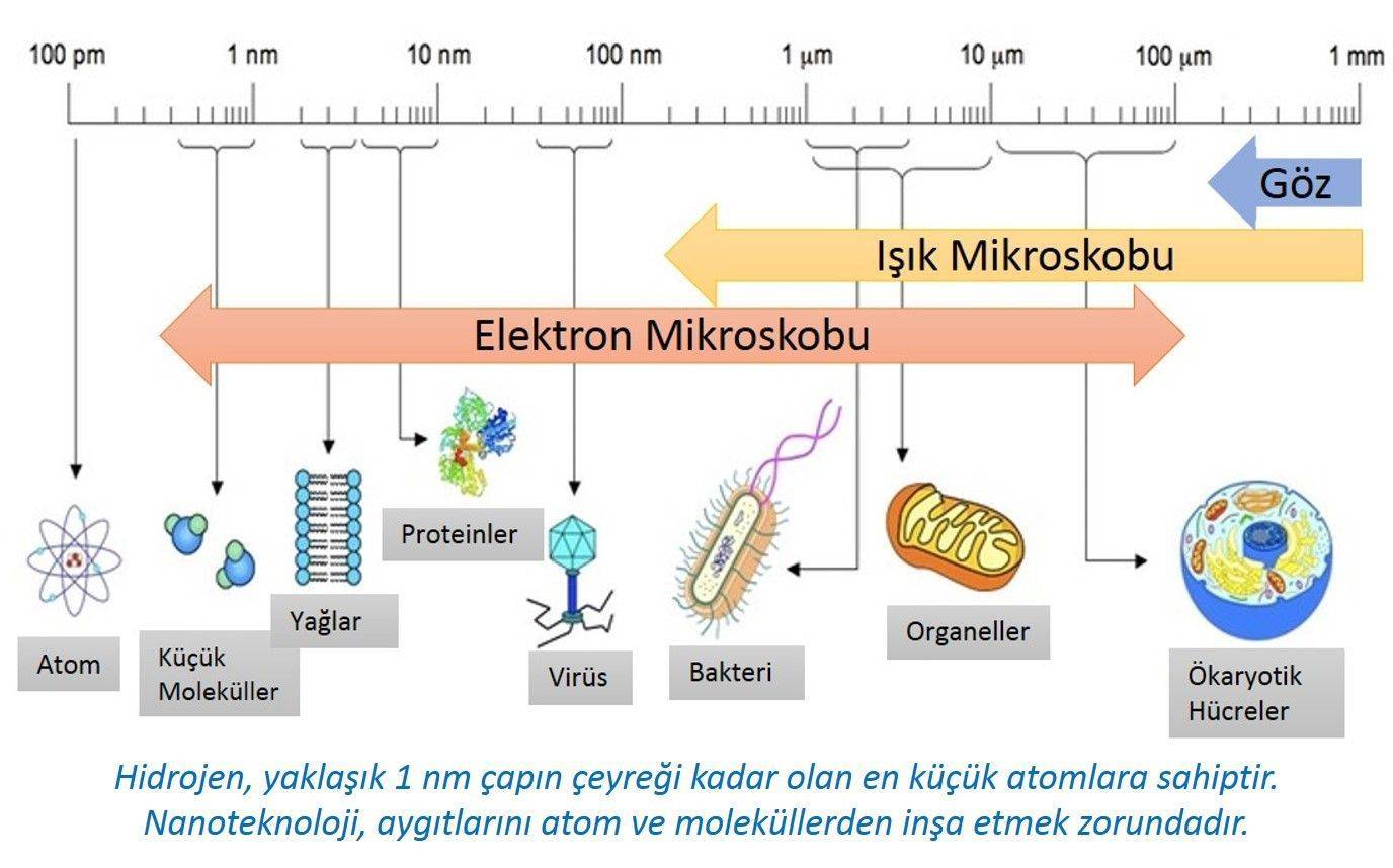 Nanotechnology-Nanomedicine-and-Applications-in-Radiation-Oncology-Article-Series-1