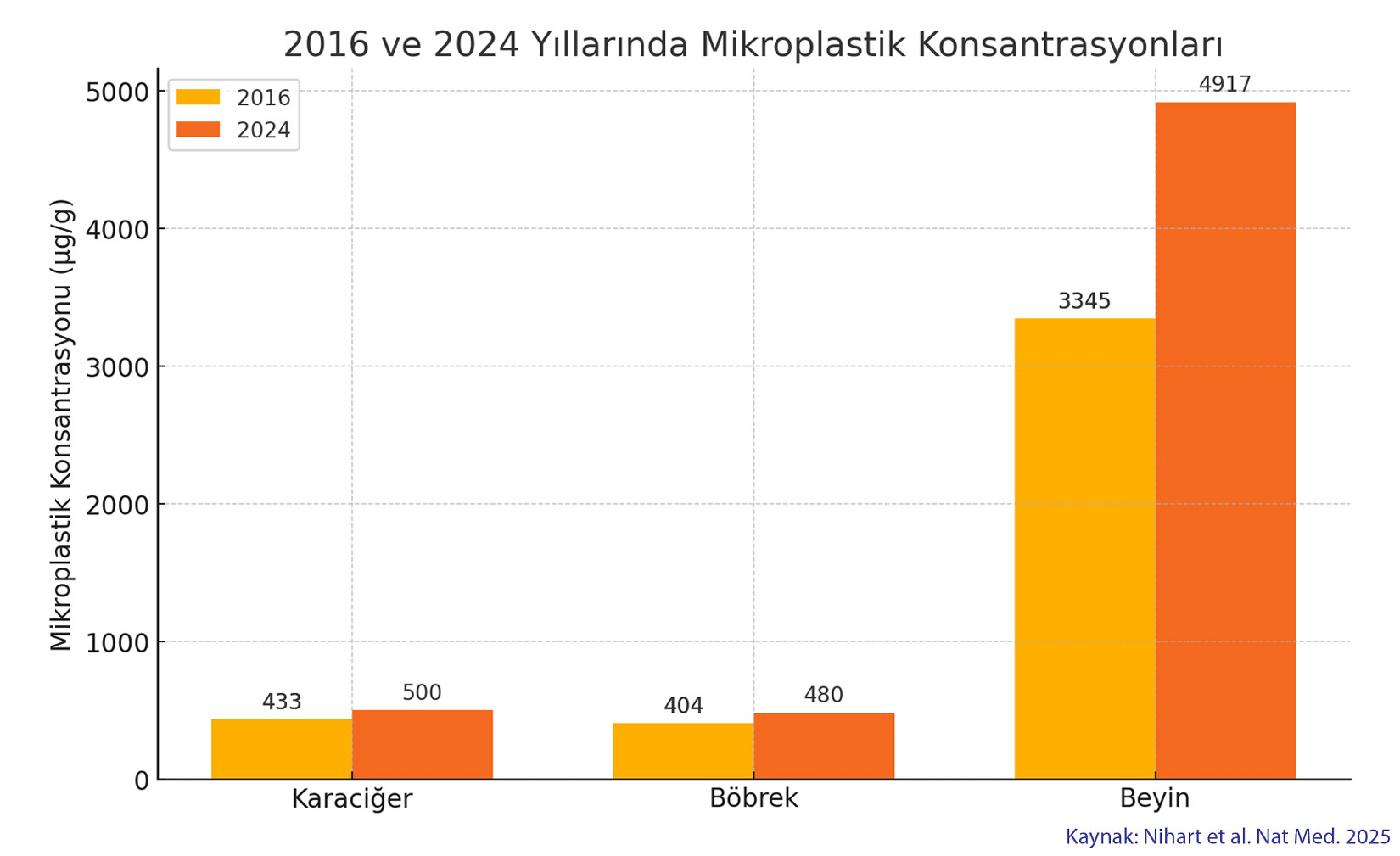 nature çalışması şubat 2025 beyinde mikroplastik konsantrasyonları çok arttı 2016 2024