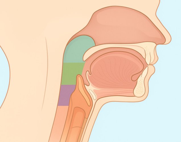 Nazofarenks Kanserinde Penpulimab İmmünoterapisi FDA Onayı Aldı