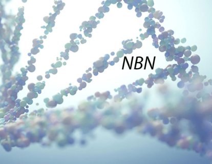 NBN mutasyonu nedir? Hangi kanserlerin riskini artırır?