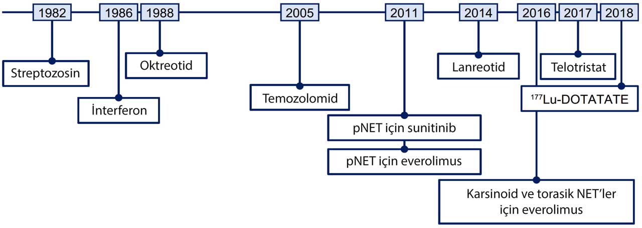 net tedavisi icin onaylanan tedavilerin zaman cizelgesi lutesyum lu 177 pankreas noroendokrin tumor