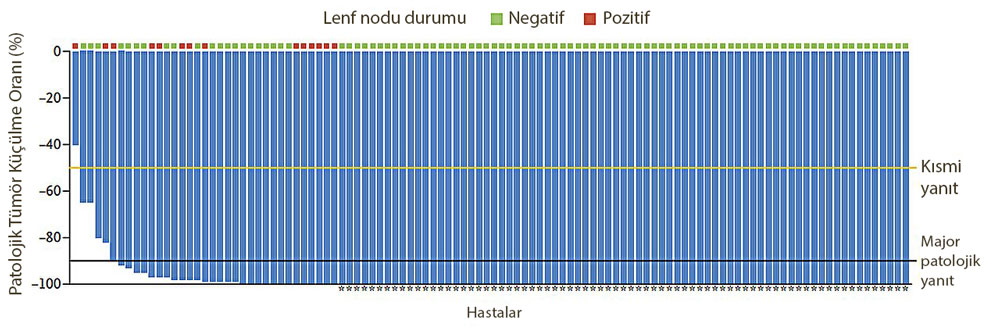 niche 2 calismasinda neoadjuvan immunoterapi ile tedavi edilen dmmr kolon kanseri hastalarinin pato