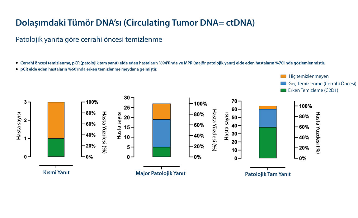 NICHE 2 colon cancer preoperative immunotherapy pathological complete response and ctDNA results NICHE 2 ESMO 2024