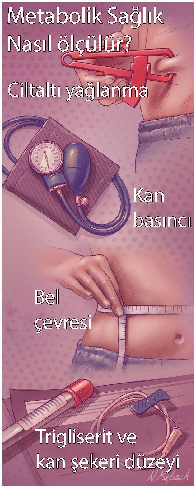 normal kilolu metabolik obezite cilt alti yag kan basinci hipertansiyon kan yaglari kolesterol 3560