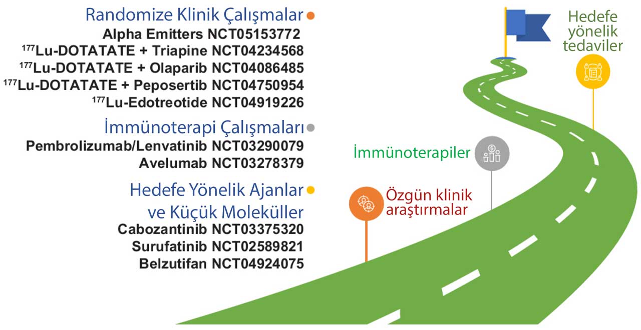 noroendokrin tomur net tedavisi icin gelistirilen yeni ajanlar klinik calismalar 360737