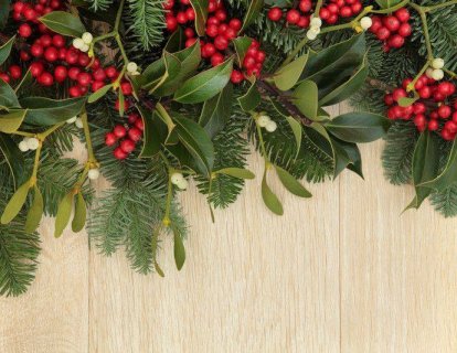 Ökse otu ekstresi – Mistletoe kansere tedavisinde yeri var mıdır?