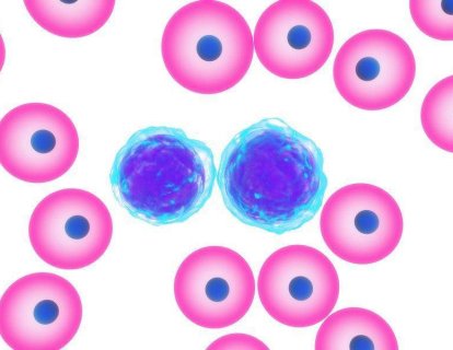 Öncül B hücreli ALL tedavisi için blinatumomab hızlandırılmış FDA onayı aldı