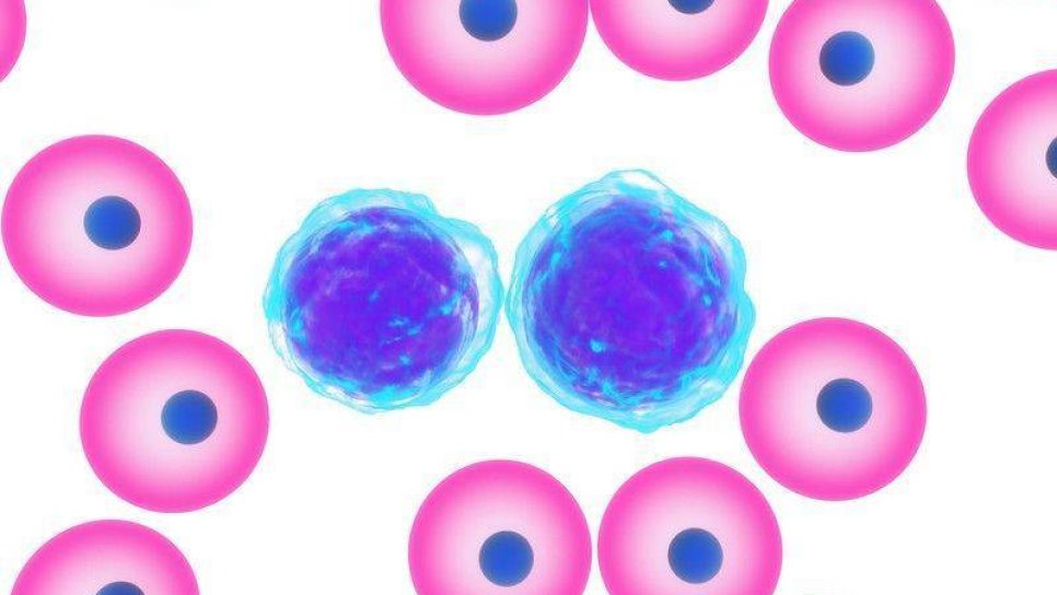 Öncül B hücreli ALL tedavisi için blinatumomab hızlandırılmış FDA onayı aldı