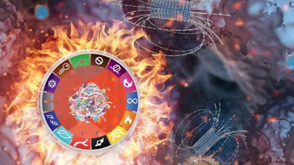 Önemli Gelişme – Kanser Hücresinin Temel Özellik Sayısı 14 Oldu