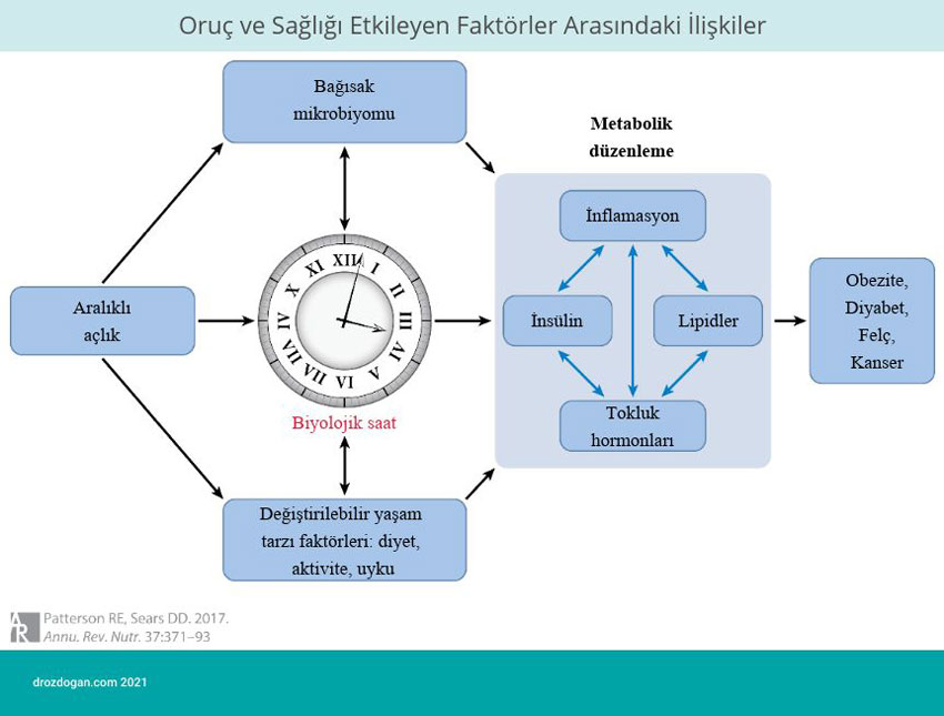 relationships between fasting and factors affecting health