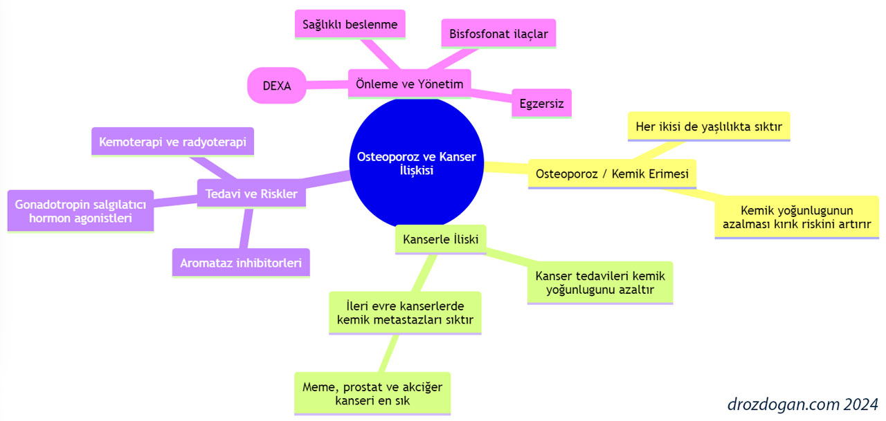 Osteoporosis and cancer: relationship, causes and treatment diagram