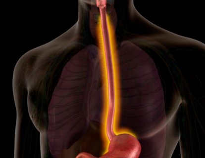 Özofagus Kanseri Birinci Basamak Tedavisinde 2 Farklı İmmünoterapili Rejim FDA Onayı Aldı