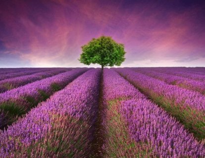 Pankreas kanseri tedavisinde yeni bir sayfa açıldı