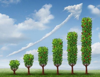 Pankreas Kanserinde Şimdiye Kadar Alınan En İyi Sonuçlar