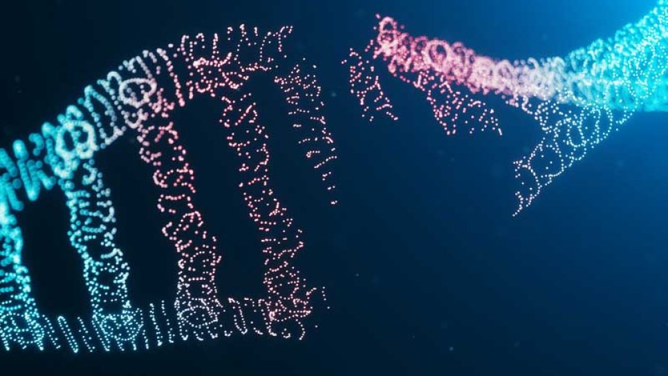 PARP-Inhibitoren – eine neue Wirkstoffklasse verändert die Behandlung von Eierstockkrebs