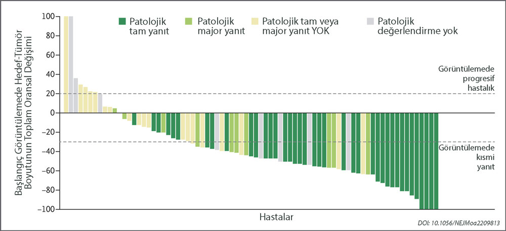 patolojik ve goruntuleme temelli yanit degerlendirmesine gore her yassi hucreli cilt kanserli her h